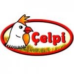 Çelpi Piliç